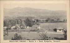 East Ryegate Vermont VT Cabins Birdseye View 1930s-50s Postcard picture