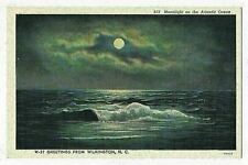 Moonlight on the Atlantic Ocean, Wilmington, North Carolina picture