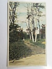 Antique Original Photograph By C W Chamberlin Cleveland OH Birch Tree Path A7725 picture