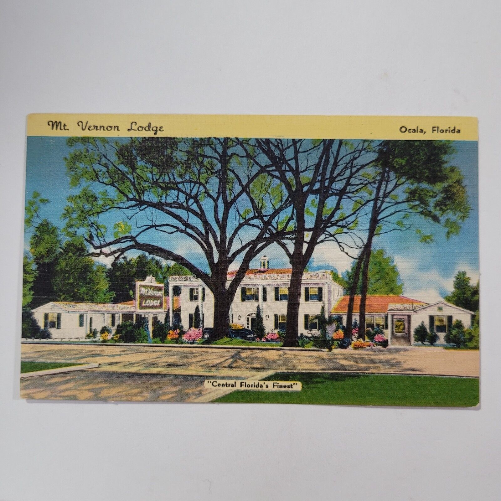 Mt. Vernon Lodge Ocala Florida Central Florida\'s Finest Vintage Linen Postcard
