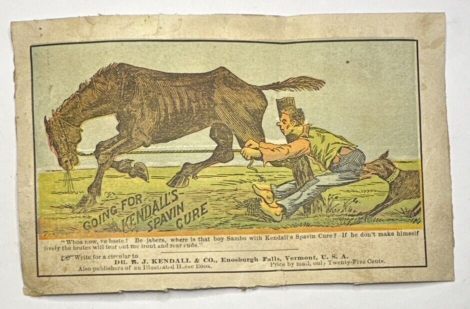 Victorian Trade Card 1880s Kendall's Spavin Cure Enosburgh Falls VT B60
