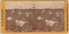 SOUTH CAROLINA SV - Cotton Pickers - GN Barnard 1870s NICE picture