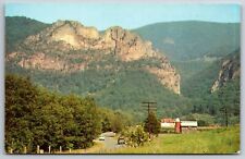 Monongahela National Forest West Virginia~Seneca Rocks~Quartzite~1950s Postcard picture