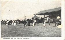 Syracuse State Fair Prize Horse 1910 Unused NY  picture
