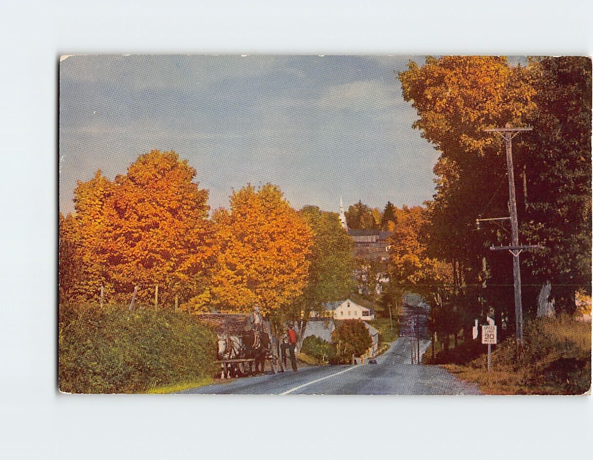 Postcard The Village of Lunenburg Vermont USA