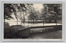 Battle Creek Stream and Bridge, Charlotte Michigan Postcard 1657 picture