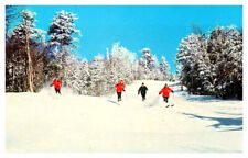 Postcard SKIING SCENE Ludlow Vermont VT AT6204 picture