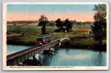 eStampsNet - Trolley Bridge Walkill River Middletown NY Postcard  picture