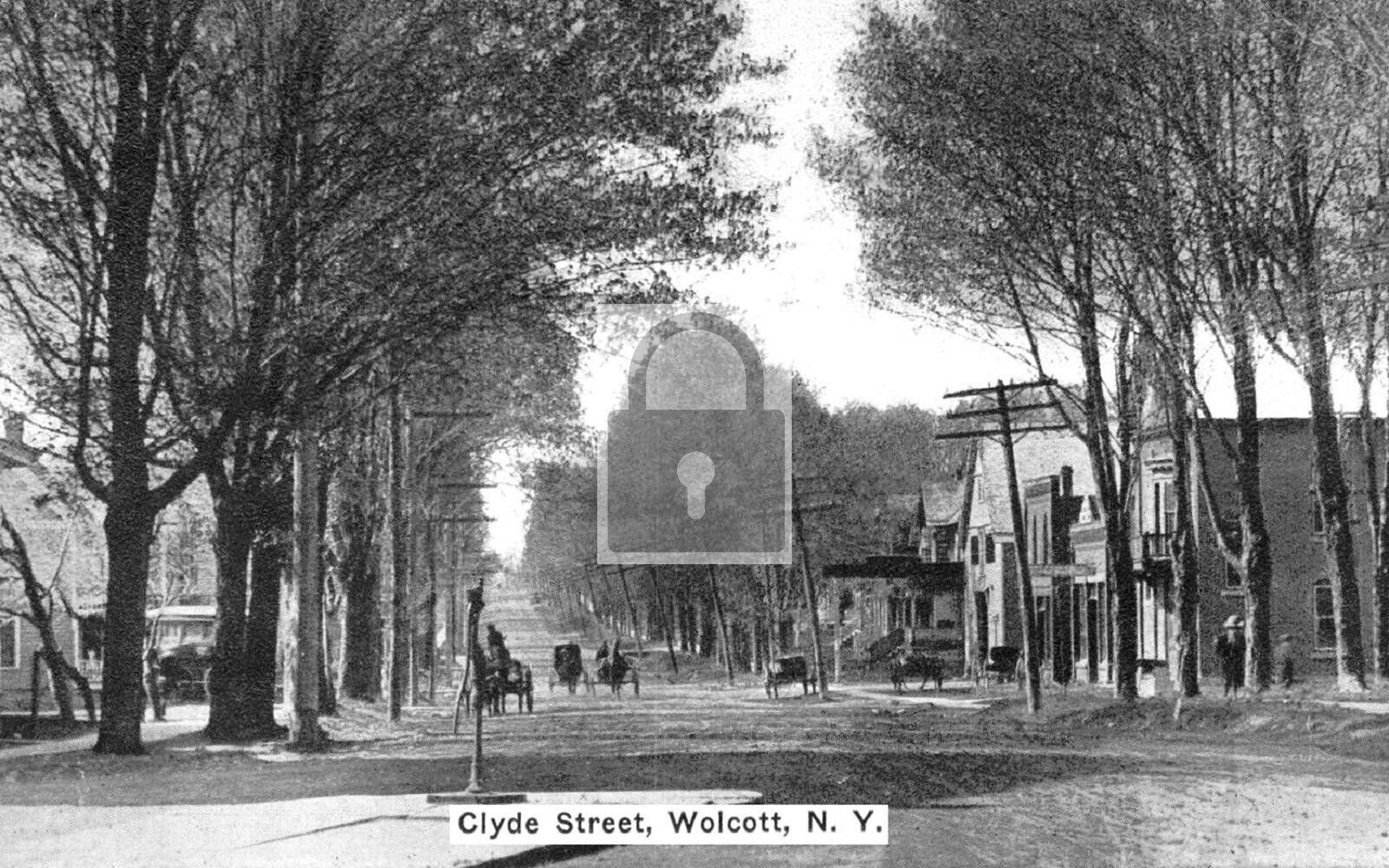 Clyde Street View Wolcott New York NY Postcard REPRINT