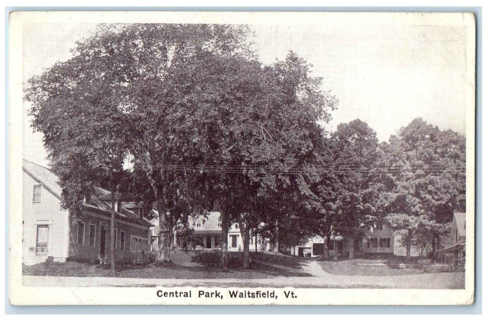 1932 Central Park Big Trees Houses Waitsfield Vermont Vintage Antique Postcard