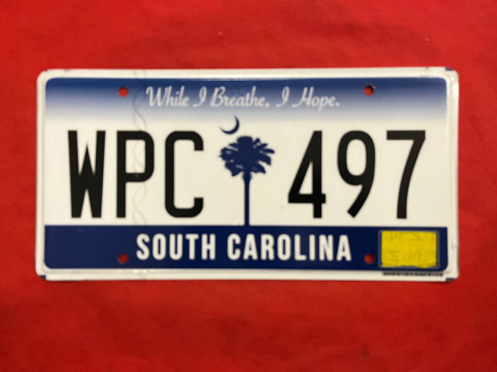 South Carolina License Plate WPC 497 ... Expired / Crafts / Collect / Specialty