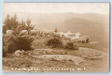 Londonderry Vermont VT Postcard RPPC Photo Lowell Lake Sheep c1910's Antique picture