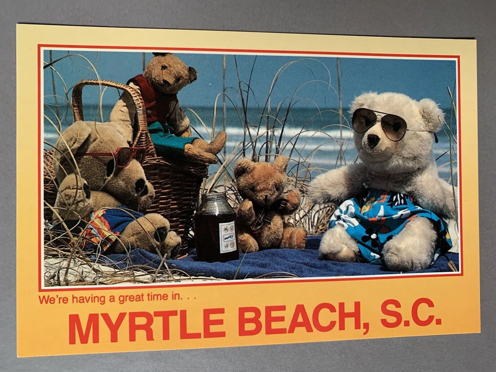 Vintage Myrtle Beach South Carolina Teddy Bears Postcard Unposted 80s 90s Vtg