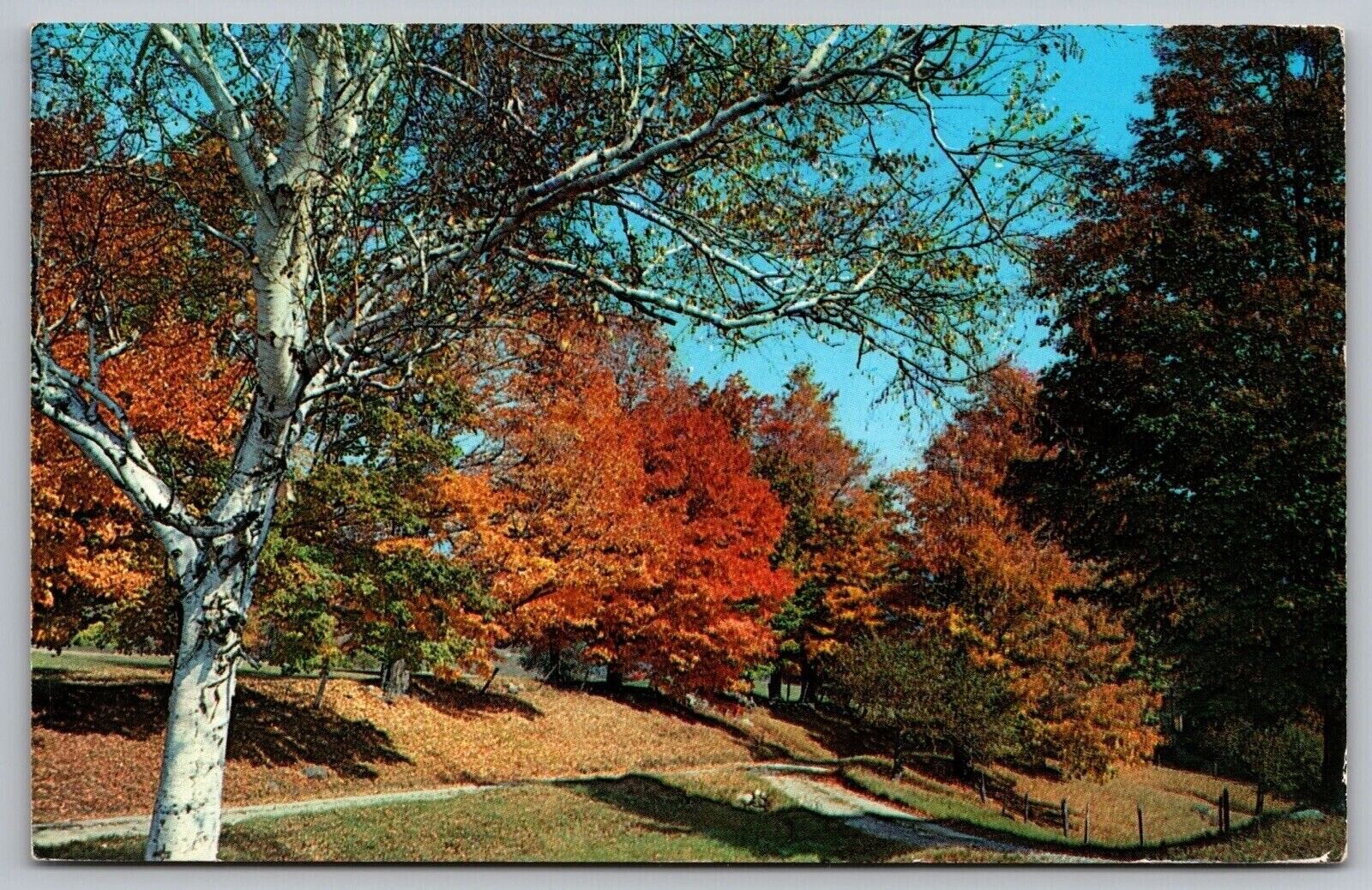 Tinmouth Vermont Scenic New England Roadway Chrome Cancel WOB Postcard