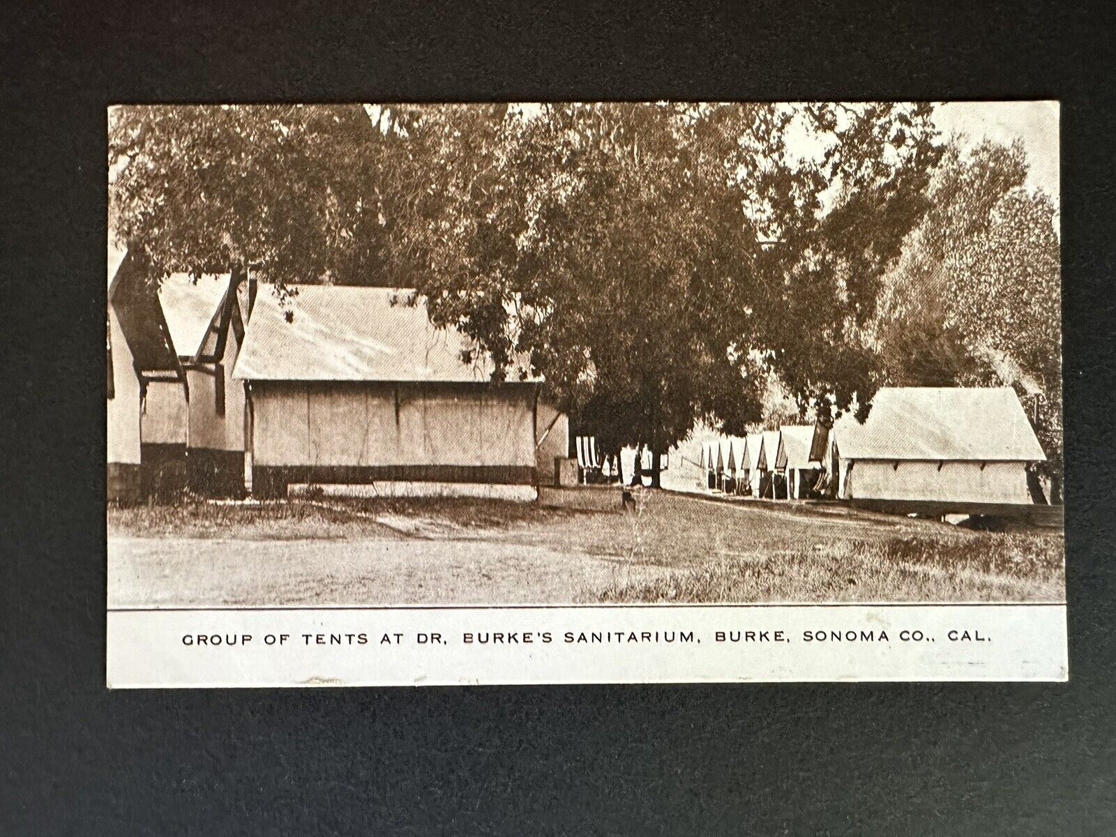 Postcard Group Of Tents at Dr Burke’s Sanitarium Burke Sonoma County California