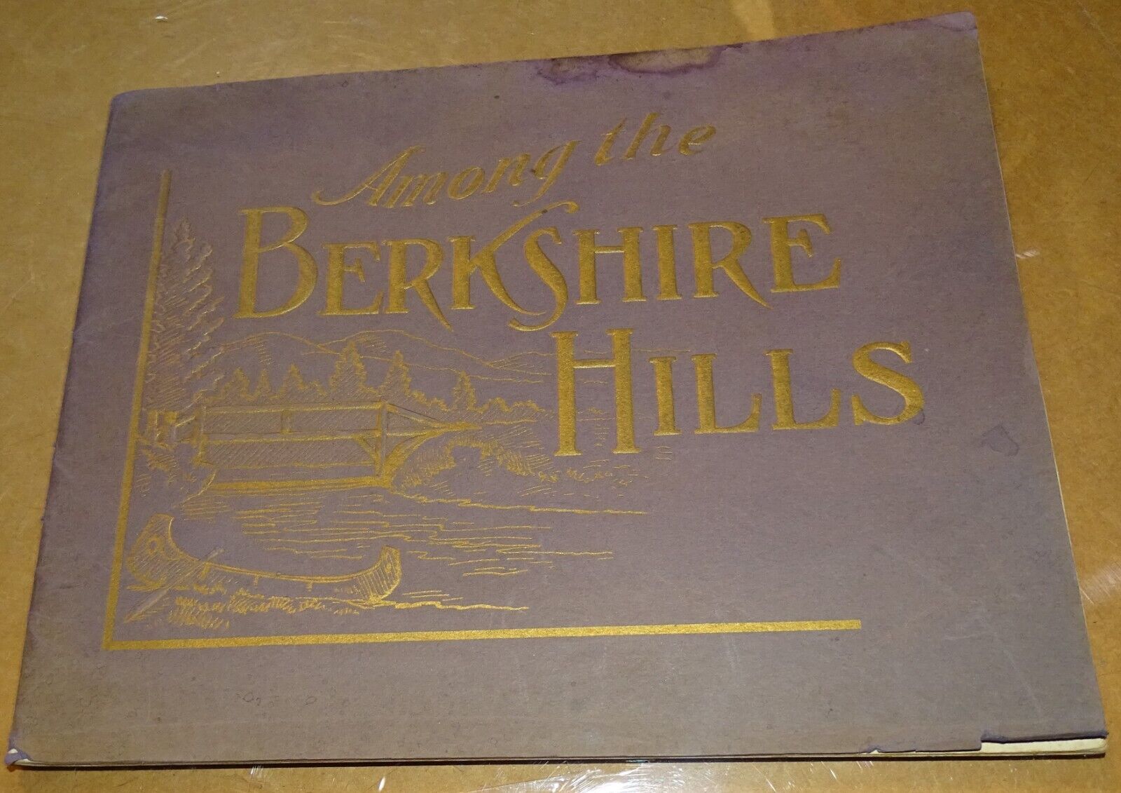 Among The Berkshire Hills photo-book (1909 Pittsfield Mass.) BADLY STAINED