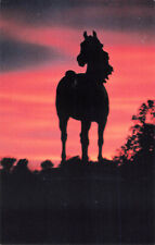 Statue of Justin Morgan Debra K James Horse Farm Weybridge Vermont  Postcard picture