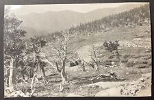 Timberline Park on Goliath Peak Mt Evans Road Colorado RPPC Sanborn E-858 1949 picture