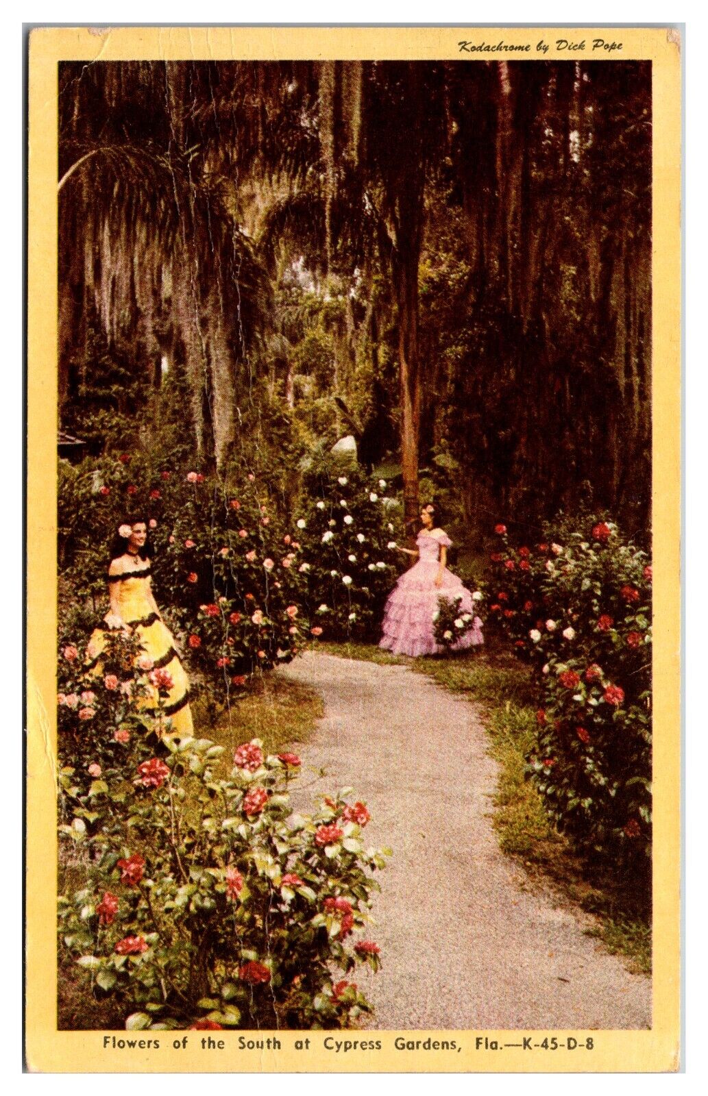 Flowers of the South at Cypress Gardens Florida Kodachrome by Dick Pope Postcard