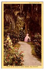 Flowers of the South at Cypress Gardens Florida Kodachrome by Dick Pope Postcard picture