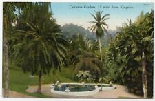 Castleton Garden Jamaica Lithograph Unposted Postcard Horticulture picture
