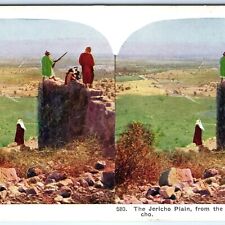 c1900s Jericho, West Bank Palestine Plains Stereo Photo Holy Land Israel V26 picture