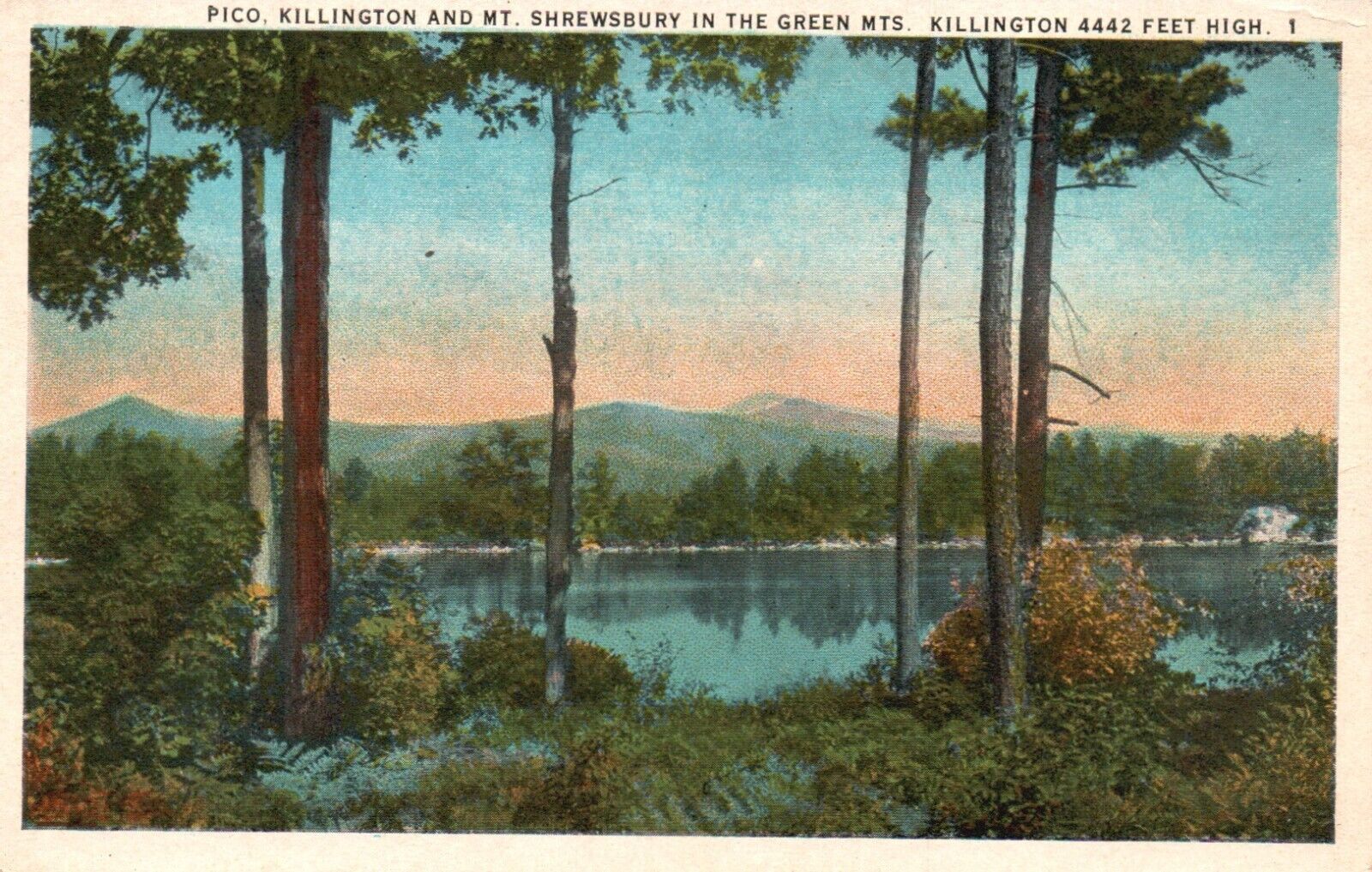 Postcard VT Pico Killington & Mt Shrewsbury Green Mountains Vintage PC G7390