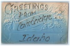 Cambridge Idaho Postcard Greetings Glitter Embossed Banner 1905 Vintage Antique picture