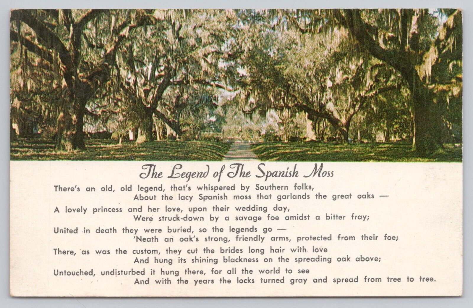 Ocean Drive Beach South Carolina, Legend of the Spanish Moss Poem, VTG Postcard