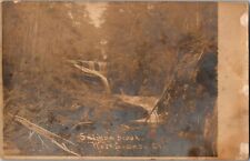 RPPC Salmon Brook, West Granby CT Vintage Postcard X07 picture