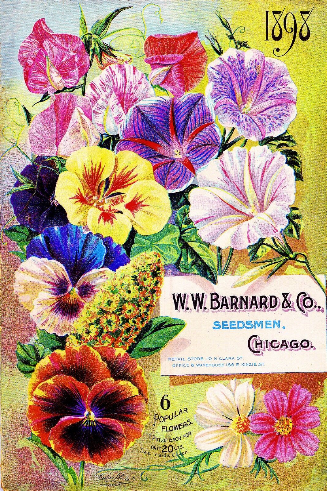 1898 Barnard Popular Vintage Flowers Seed Packet Catalogue Advertisement Poster 