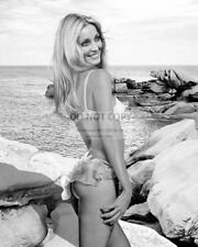 ACTRESS SHARON TATE PIN UP - 8X10 PUBLICITY PHOTO (FB-311) picture