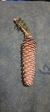 Pine Cone Shaped Like A Carrot picture