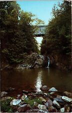 Swimming Hole Old Covered Bridge Halpin Middlebury Vermont Forest UNP Postcard picture
