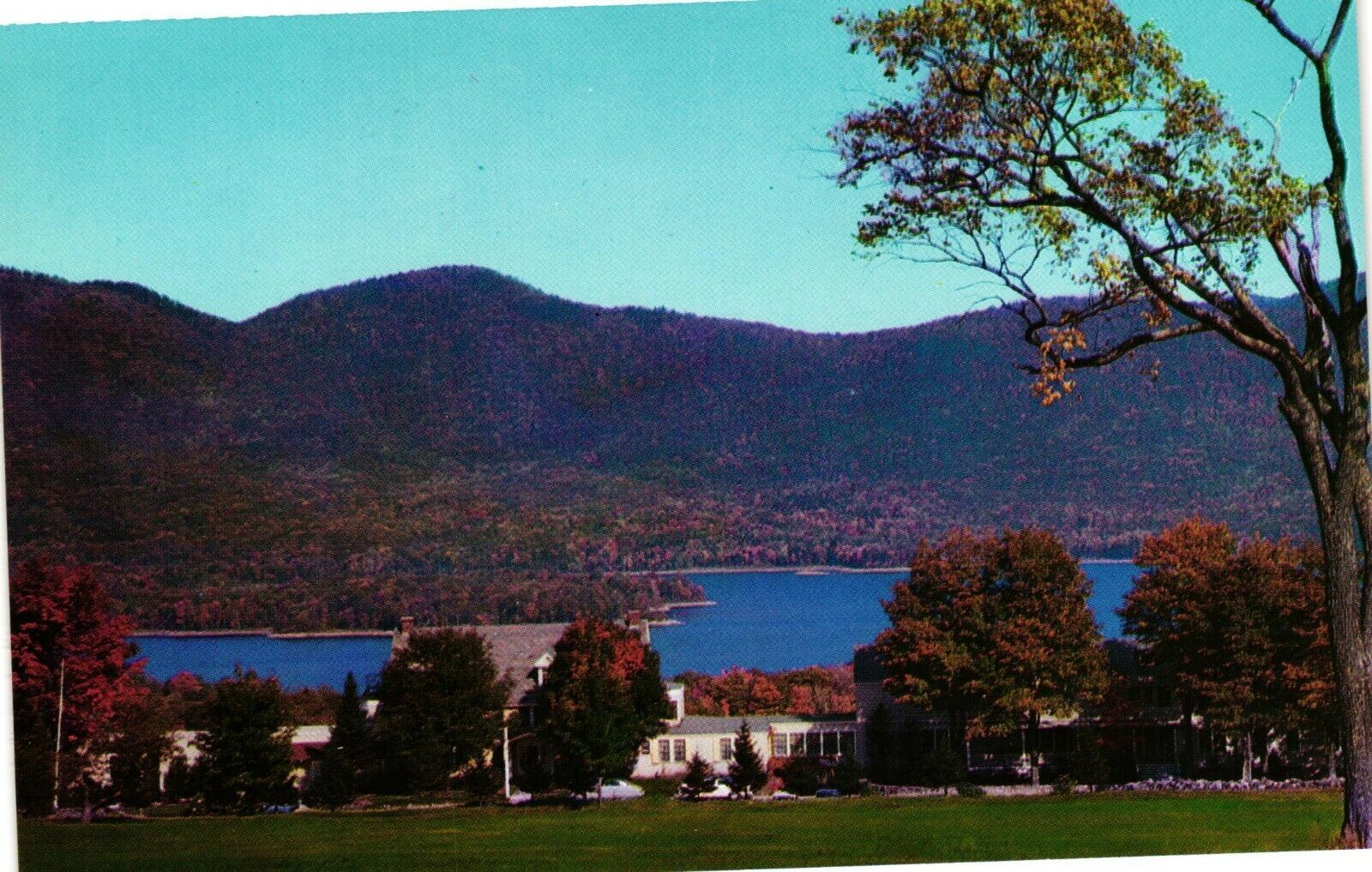 Vintage Postcard - Mountain Top Inn Cottages Chittenden Vermont UnPosted #5898