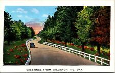 Greetings from Williston North Dakota Postcard picture