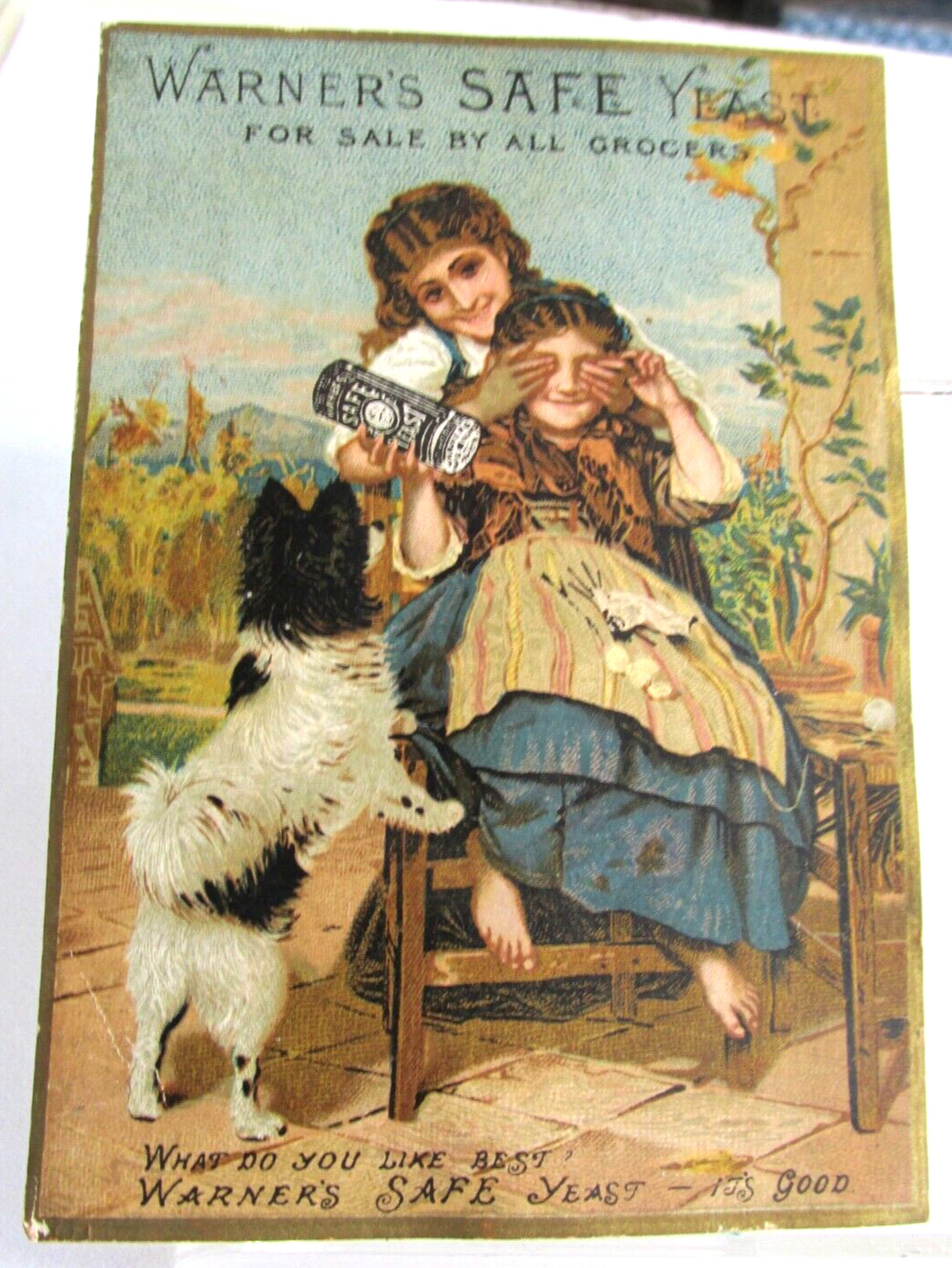 1880s WARNER SAFE YEAST Victorian Advertising Warner Safe CURE Medicine Card
