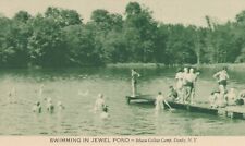 DANBY NY – Ithaca College Camp Swimming In Jewel Pond picture