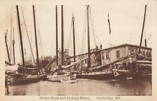 Oyster Boats & Packing House Cambridge Maryland MD 1922 Postcard picture