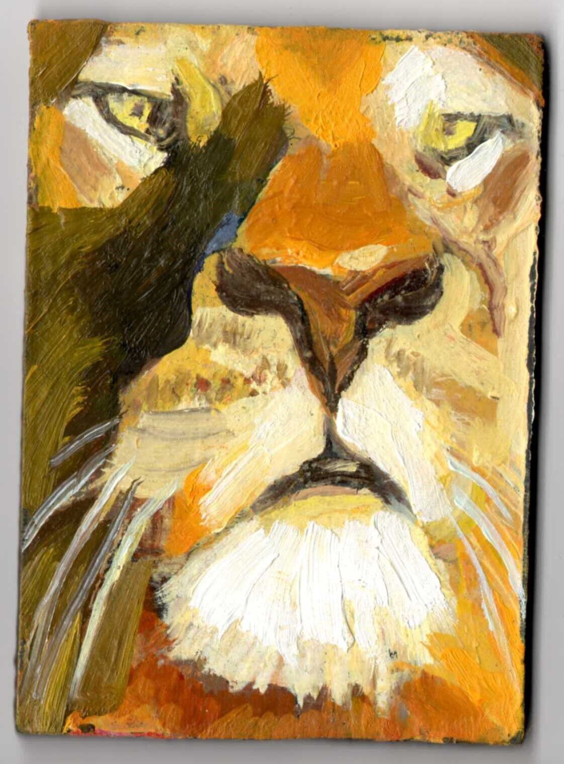 ACEO Original oil painting CECIL LION Big Cat animal Sunset II realism art ATC