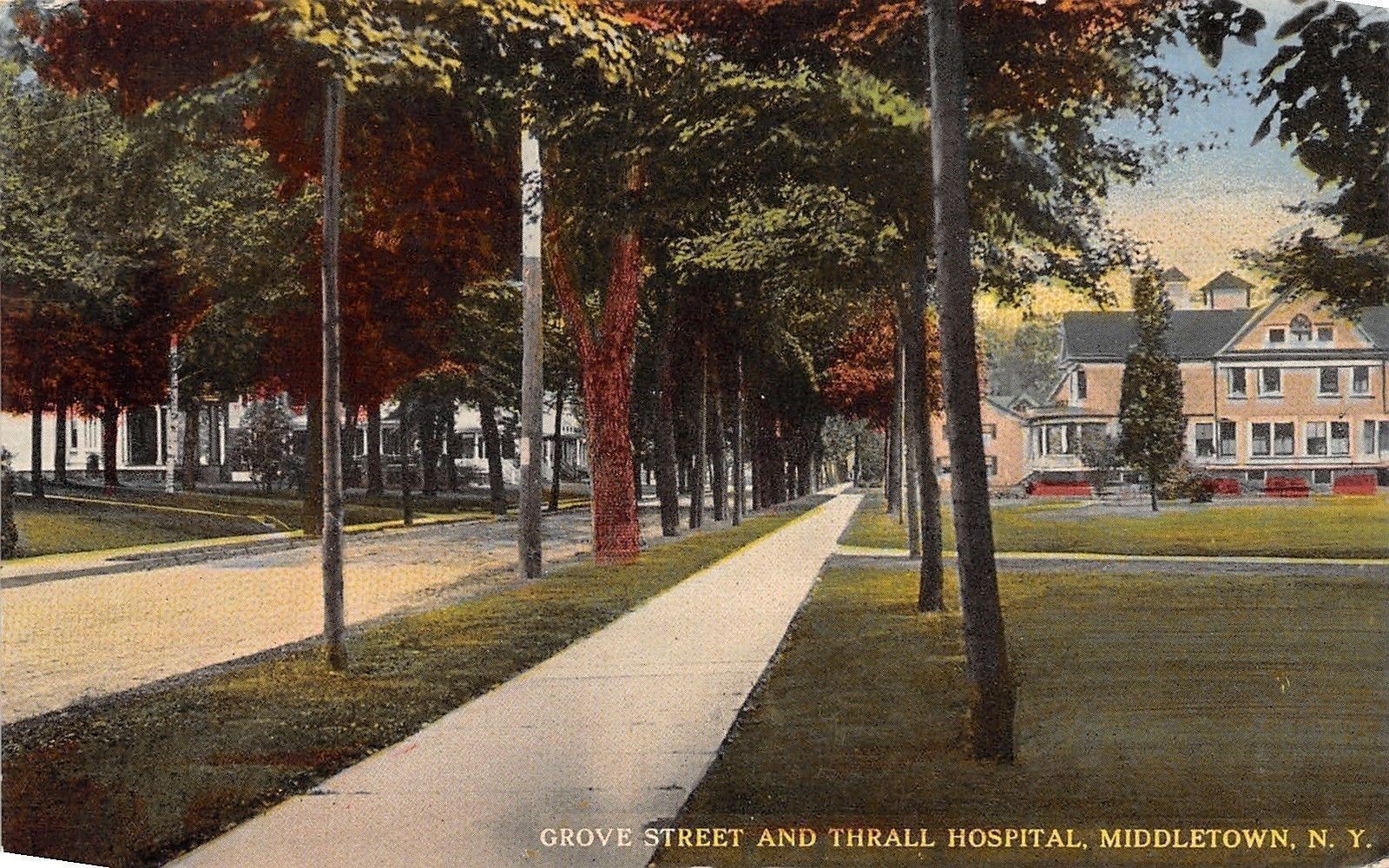 Middletown New York~Grove Street Homes~Thrall Hospital~1914 Postcard