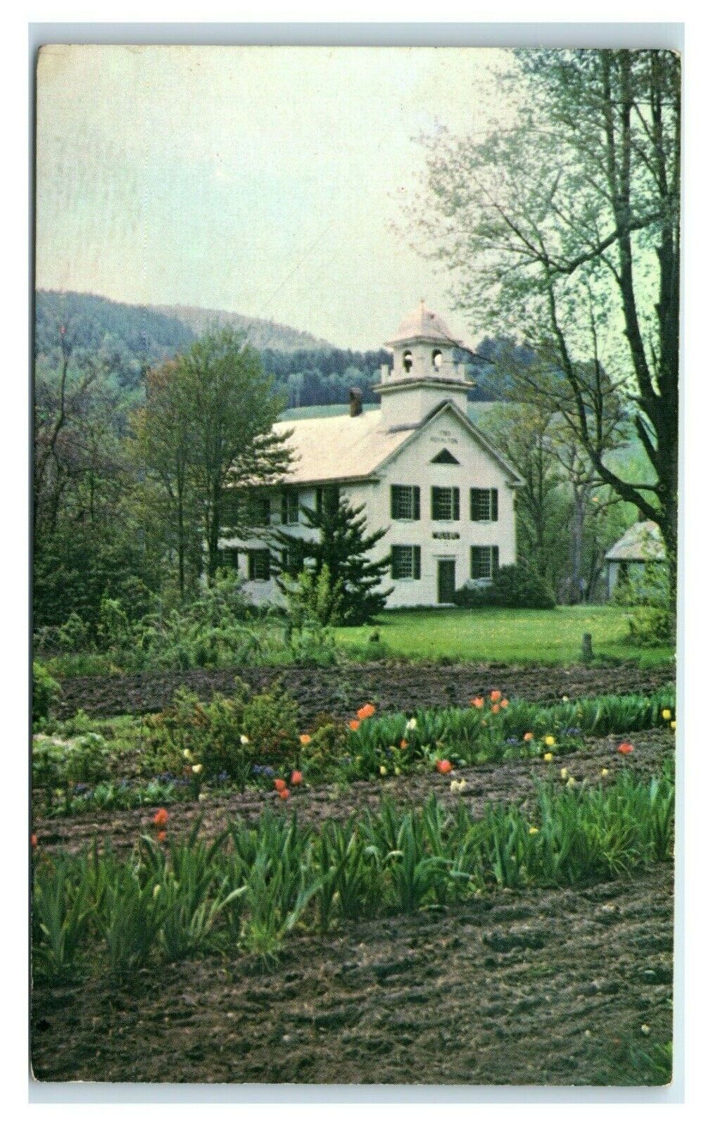 Postcard Royalton Museum, Royalton VT Vermont T55