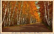 postcard Famous Birch Road At Shelburne New Hampshire A16 picture