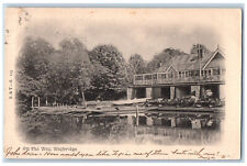 Surrey England Postcard On The Wey Weybridge Building View 1904 Antique picture