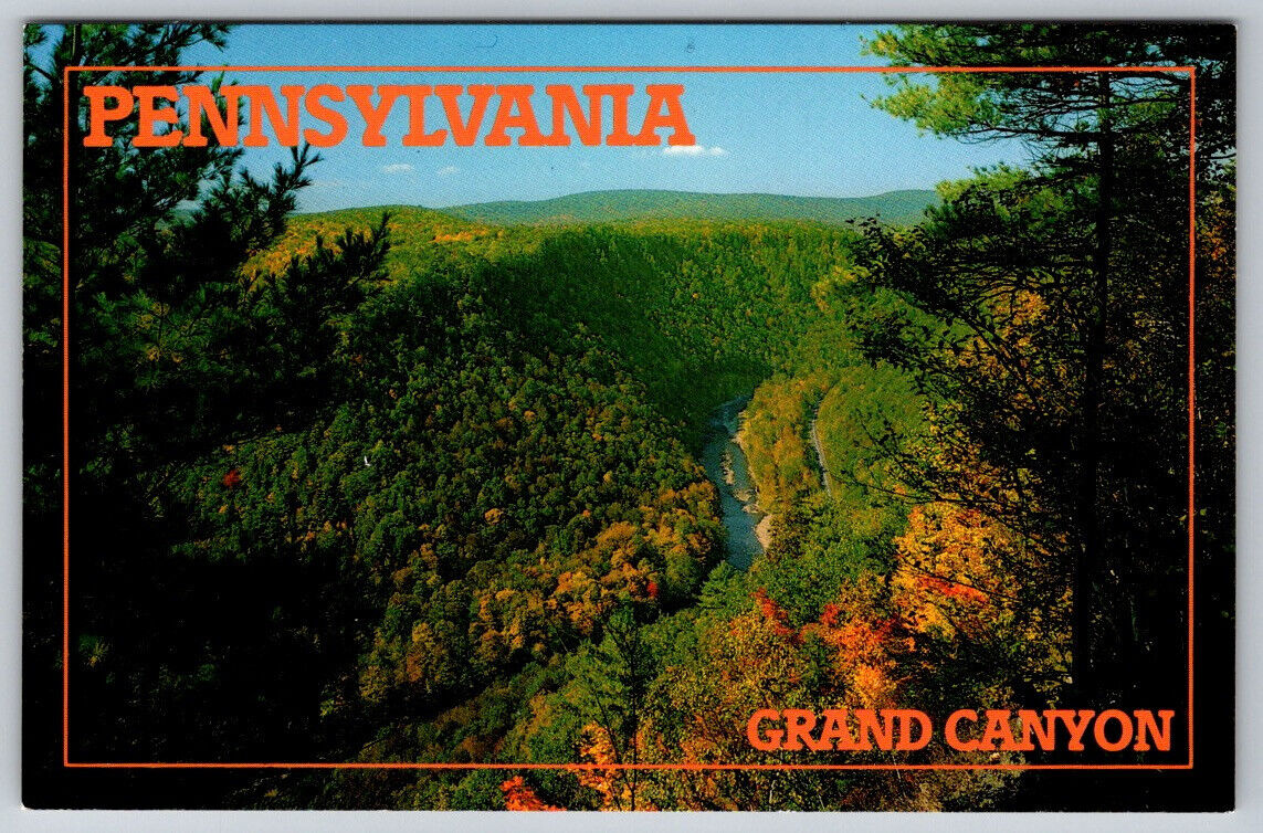 The Grand Canyon Near Wellsboro Pennsylvania Postcard
