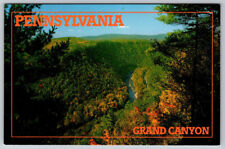 The Grand Canyon Near Wellsboro Pennsylvania Postcard picture