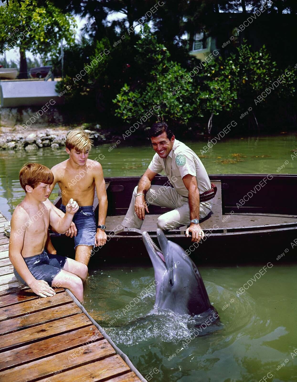 8b20-5204 Luke Halpin Tommy Norden Brian Kelly & the dolphin TV show Flipper 8b2