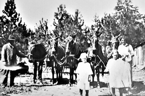 Family With Horses Cavendish Idaho ID Reprint