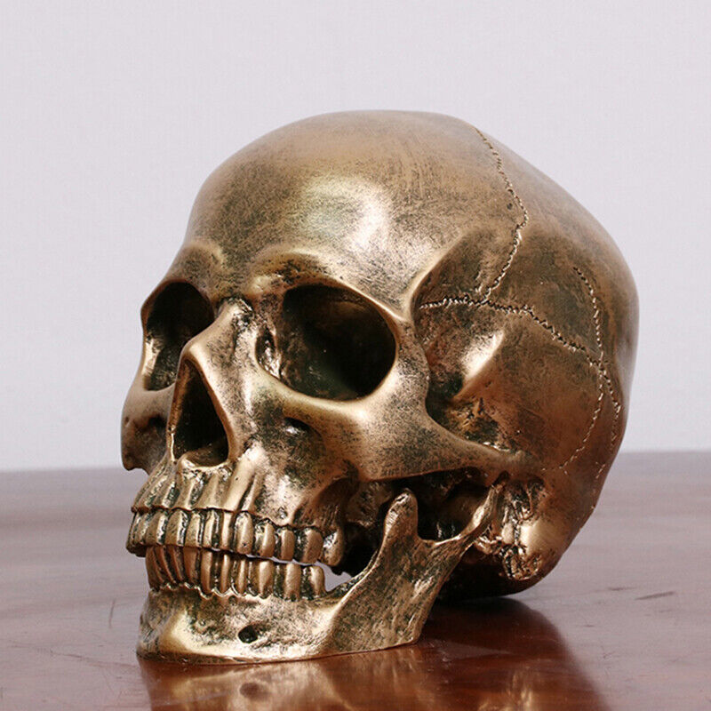 Human Bronze Resin Skull Model Medical Halloween Realistic 1:1 Statue SK