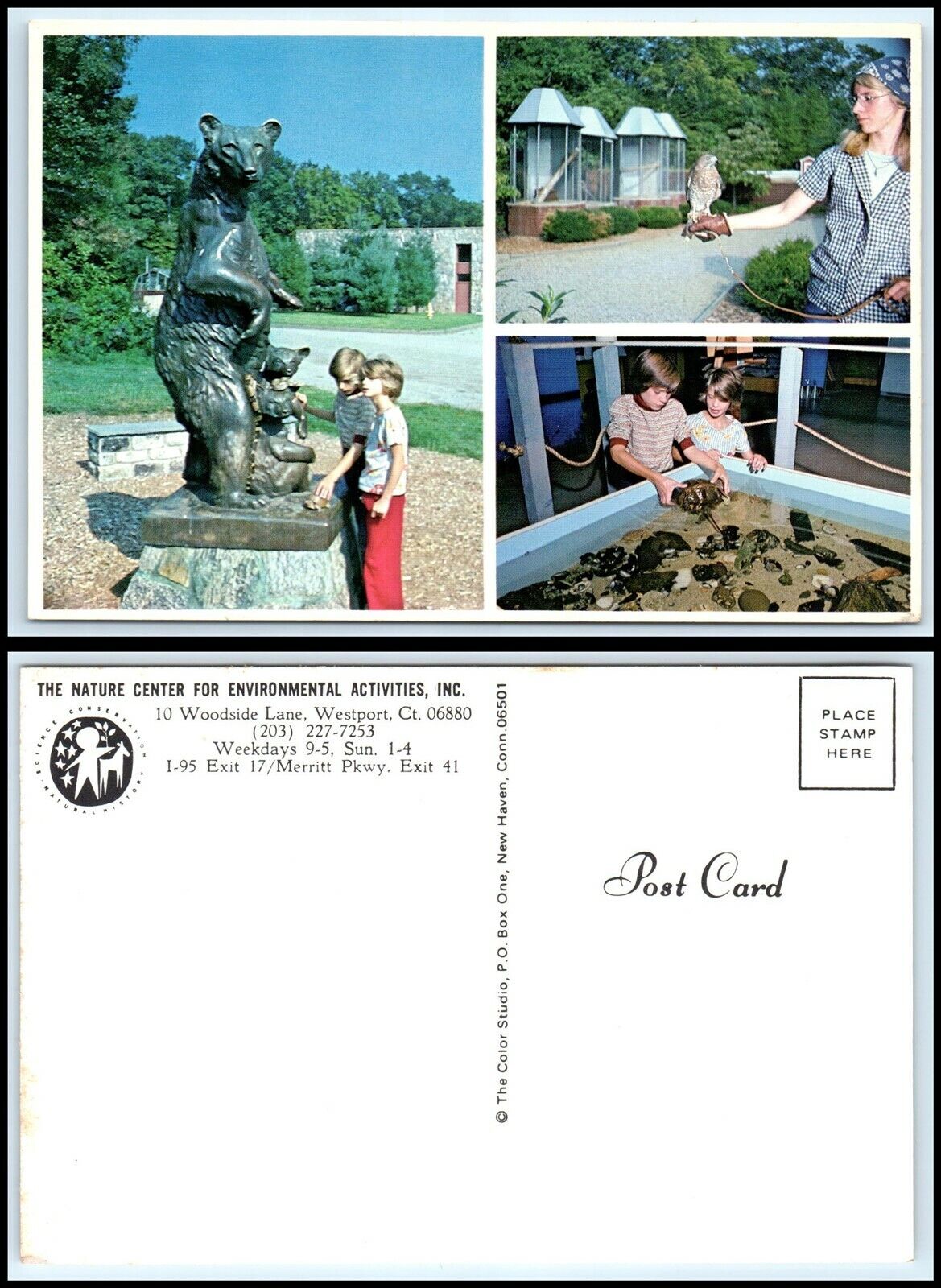 CONNECTICUT Postcard - Westford, Nature Center For Environmental Activities DG